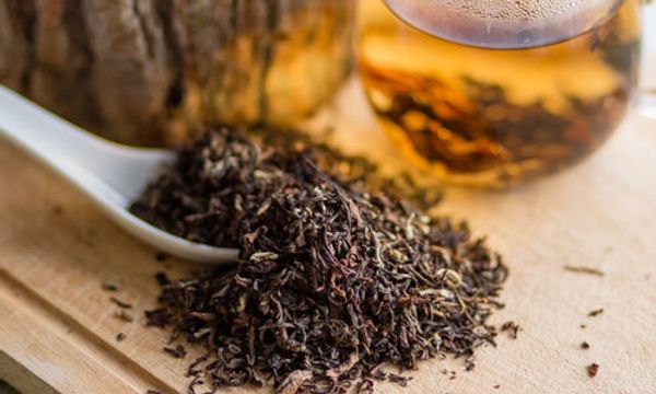 Зелёный чай дарджилинг. Description and brewing methods